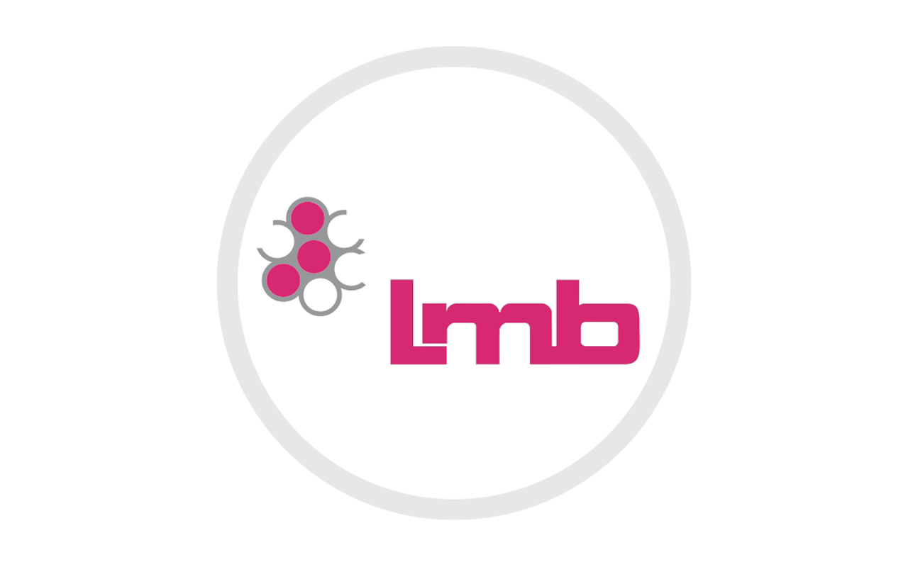LMB Technologies Gmbh